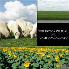 BIBLIOTECA VIRTUAL DEL CAMPO PARAGUAYO - AGRICULTURA - GANADERA - REVISTAS DIGITALES
